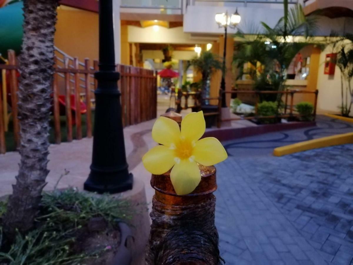 Marysol Las Palmas Rincon de Guayabitos Exterior photo